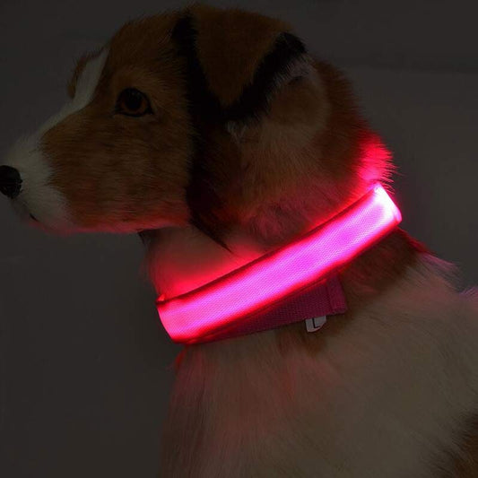 Nylon LED Pet Dog Luminous Collar – Night Safety Glow