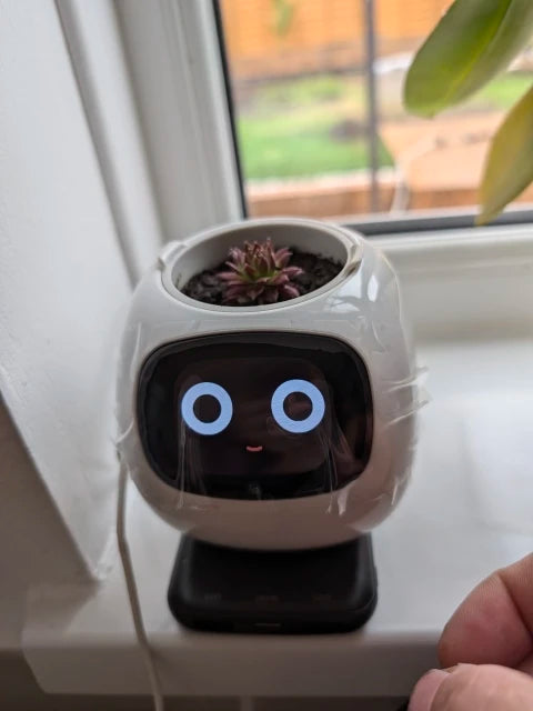 Smart Planter with AI Sensors – Fun, Easy Indoor Plant Care Ovelo