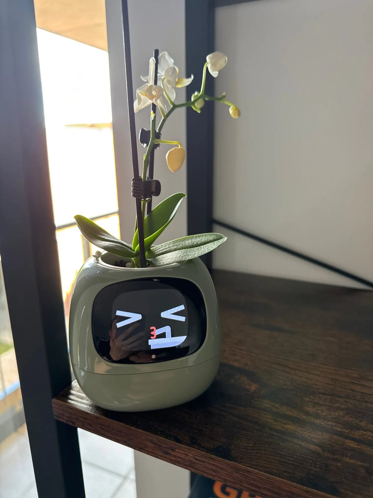 Smart Planter with AI Sensors – Fun, Easy Indoor Plant Care Ovelo