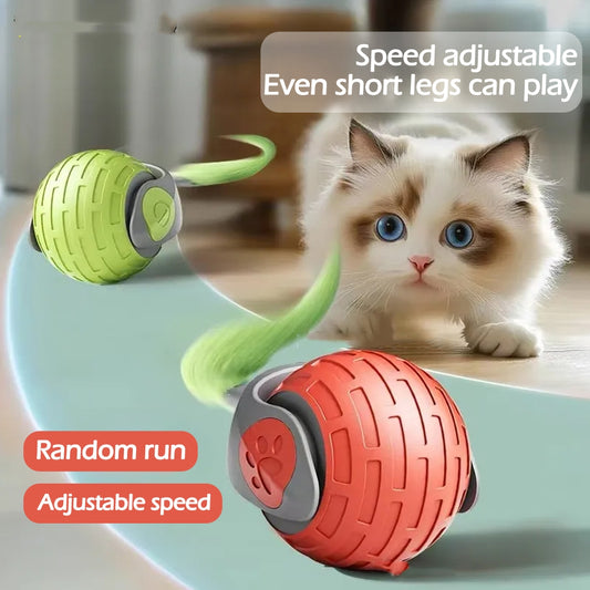 Interactive Smart Rolling Cat Toy Ball
