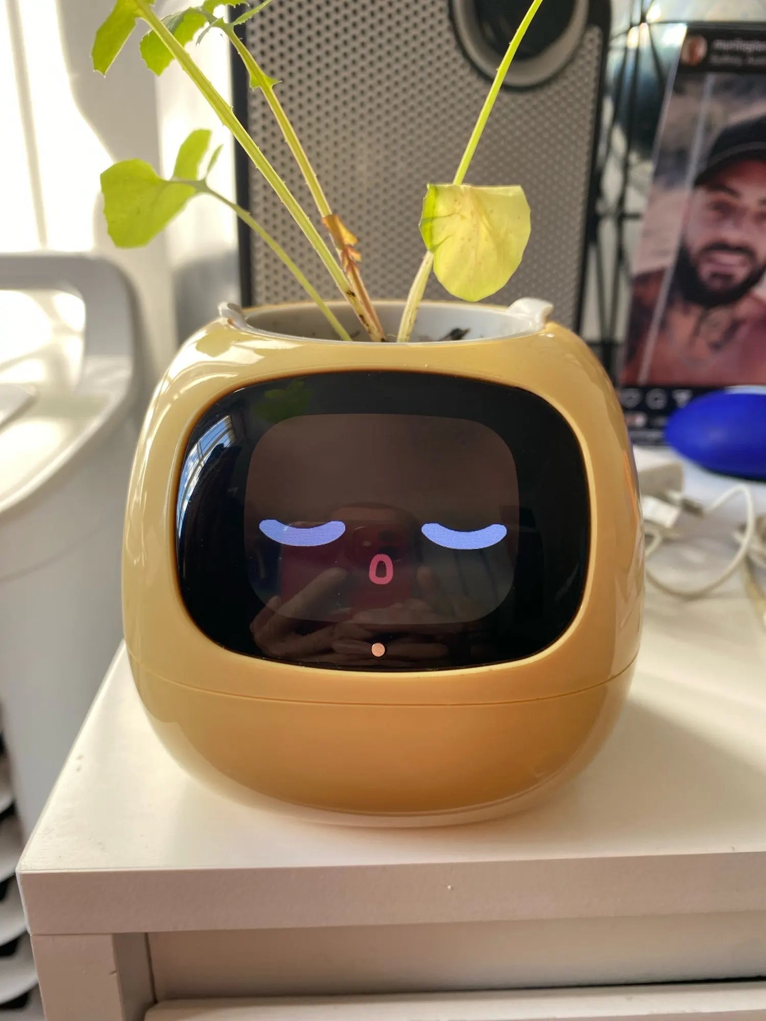 Smart Planter with AI Sensors – Fun, Easy Indoor Plant Care Ovelo