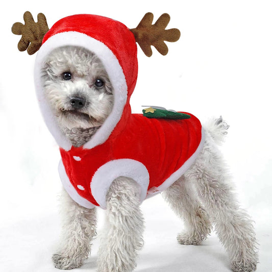Christmas Santa Costume for Small Dogs and Cats – Festive Pet Outfit