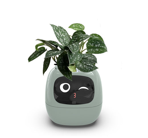 Smart Planter with AI Sensors – Fun, Easy Indoor Plant Care Ovelo